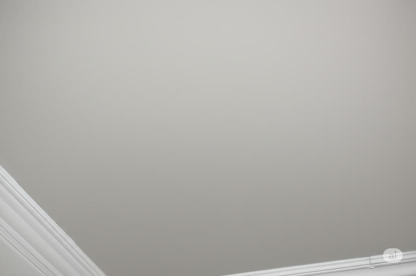 Ceiling painting project completion