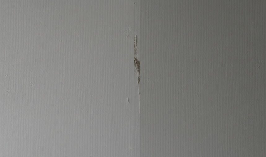 before-interior-painting
