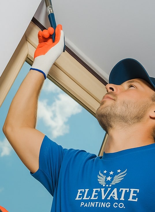 elevate painter tx