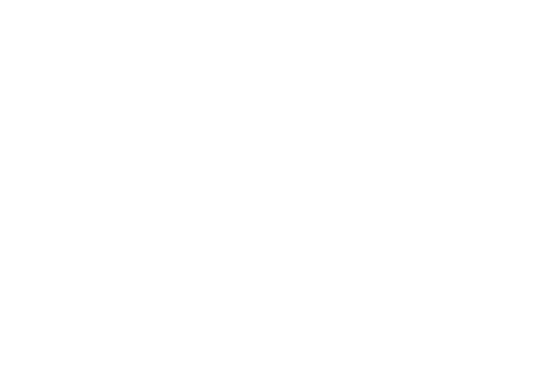 Pixel Map of Texas - White